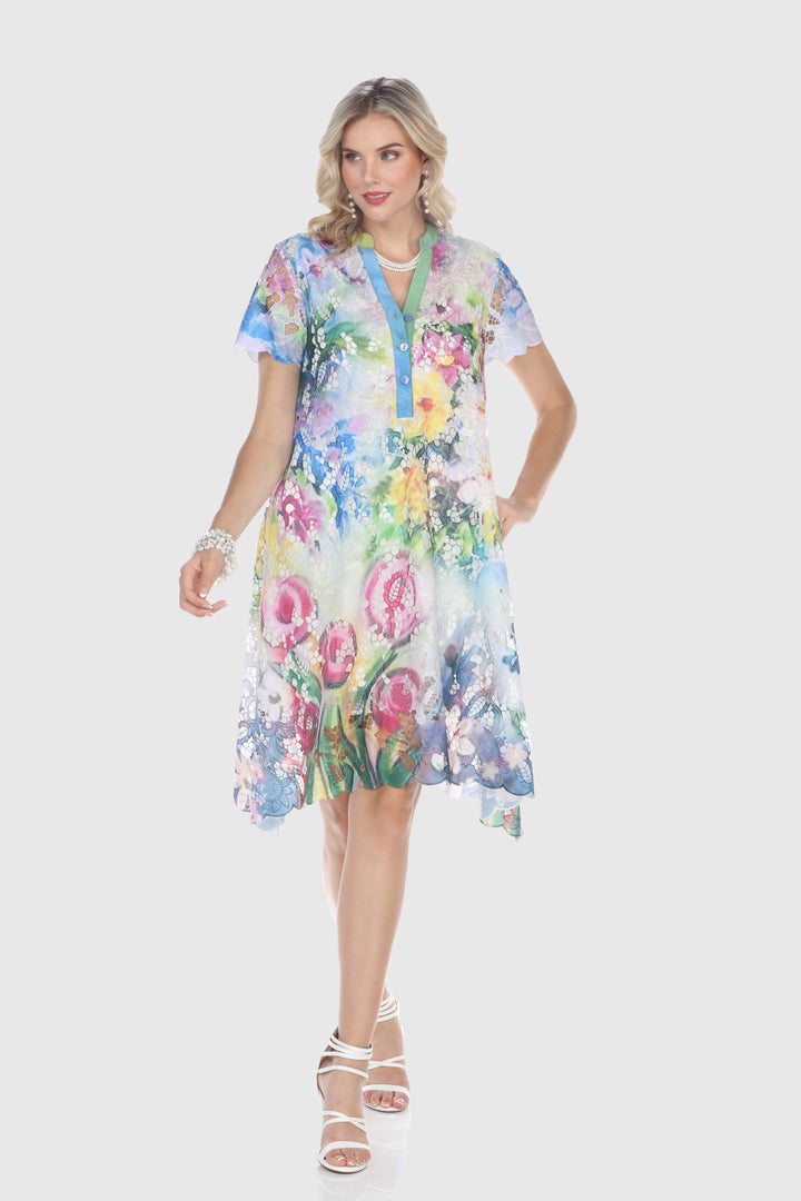 Embroidered Lace Dress