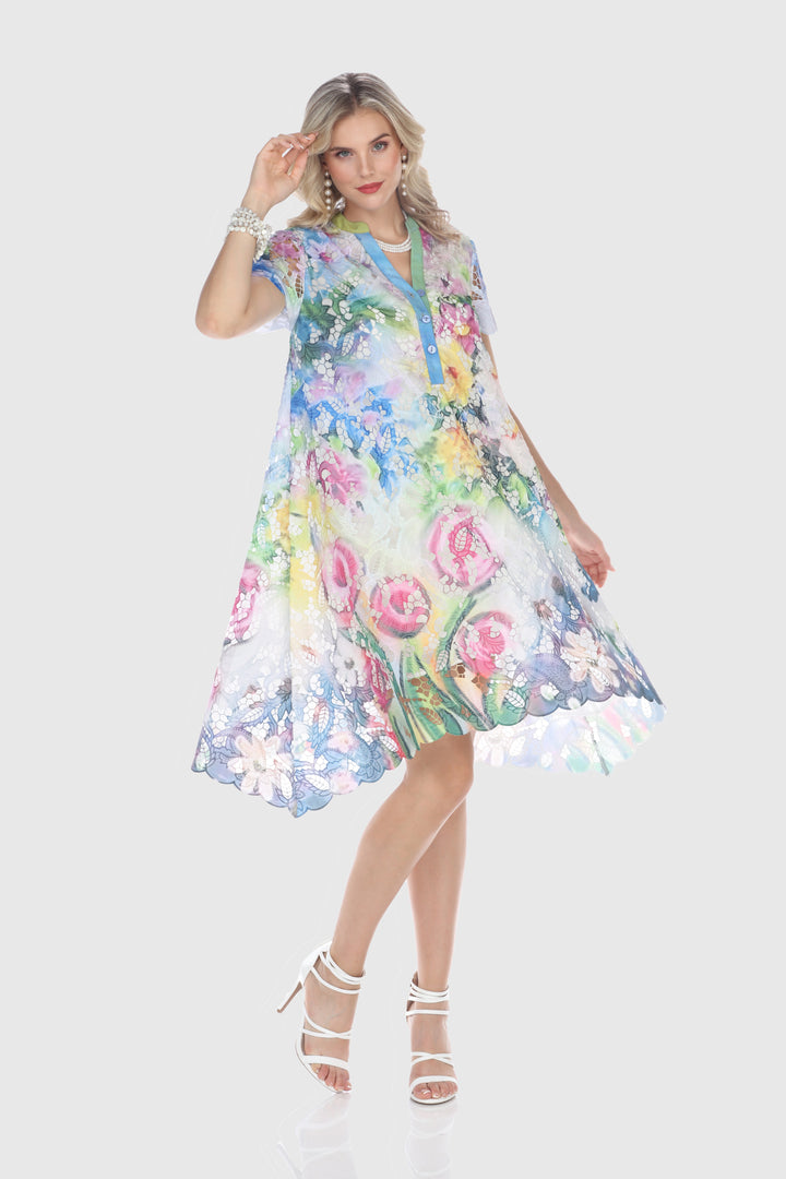 Embroidered Lace Dress
