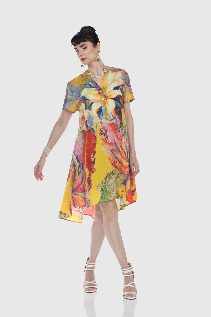 Sunburst Garden Print Dress